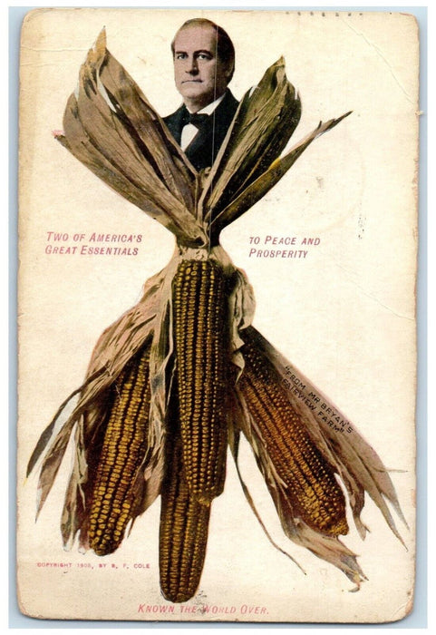 1908 William Bryan President Candidate Advertising Holdrege Nebraska NE Postcard