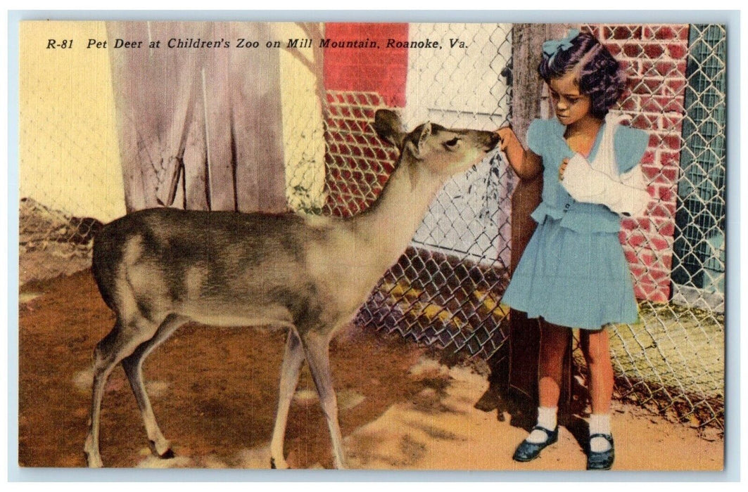 c1940 Pet Deer Children's Zoo Mill Mountain Animal Roanoke Virginia VA Postcard