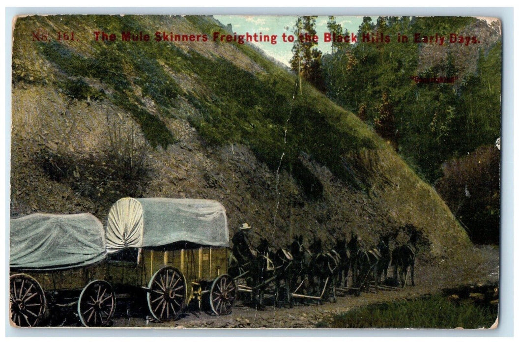 c1910 Mule Skinners Freighting Black Hills Early Days South Dakota SD Postcard