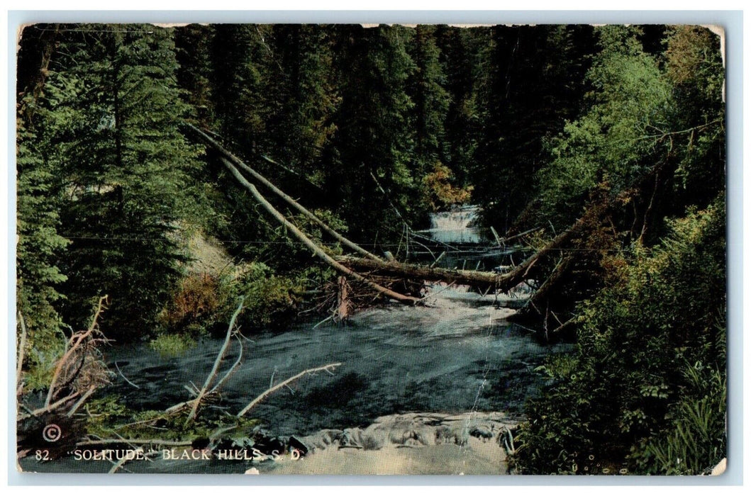 c1910 Solitude River Lake Logs Black Hills South Dakota Vintage Antique Postcard