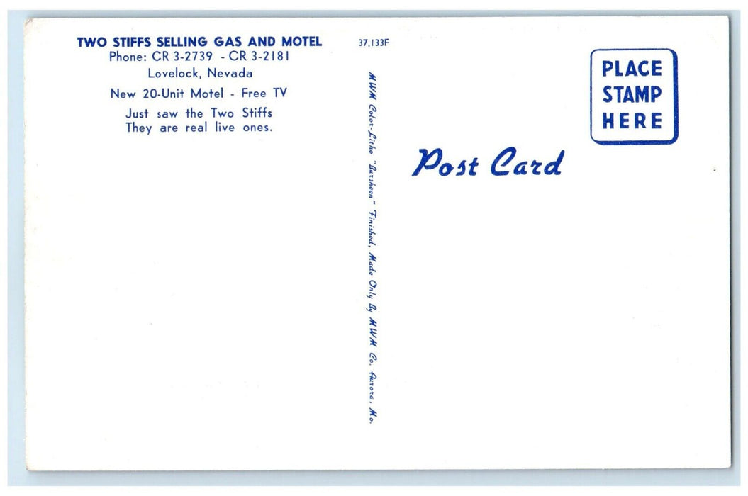c1960's Two Stiffs Gas And Motel Cars Lovelock Nevada NV Vintage Postcard