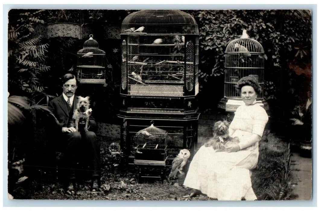 c1910's Aviary Birdcage Birds Owl Terrier Dogs England UK RPPC Photo Postcard