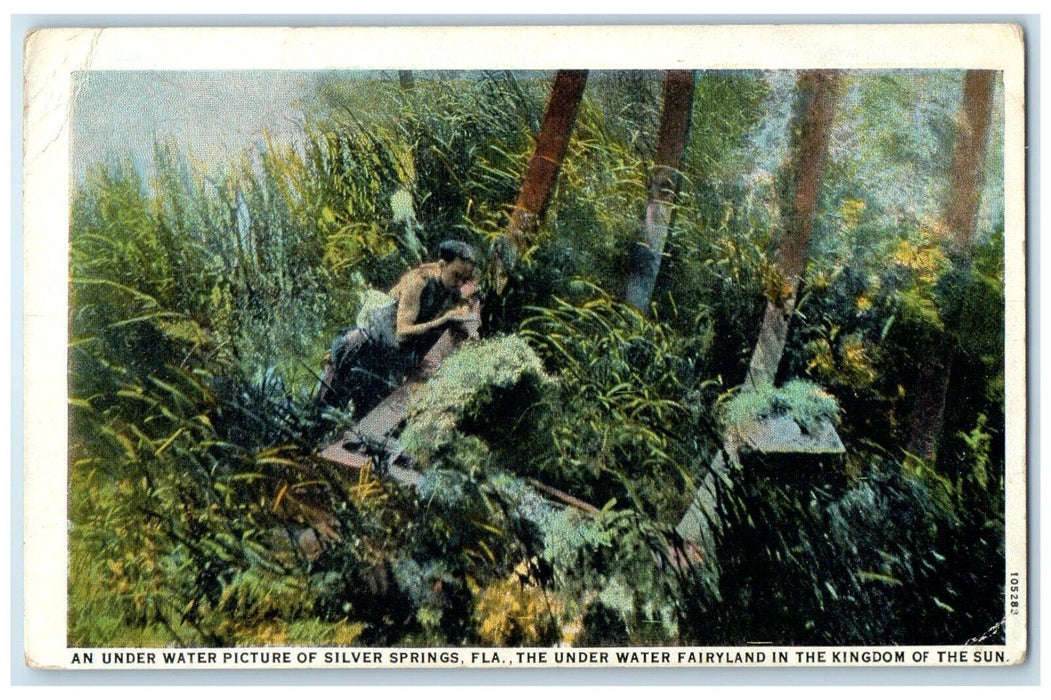 c1920 Under Water Fairyland Kingdom Sun Picture Silver Springs Florida Postcard