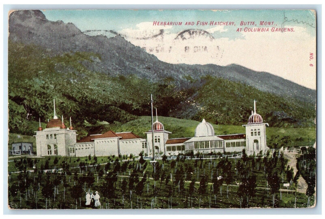 1907 Herbarium Fish Hatchery Columbia Gardens Butte Montana MT Vintage Postcard