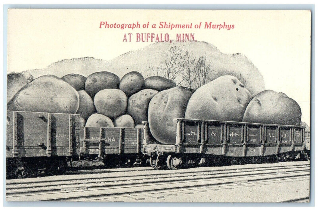 c1910 Photograph Shipment Murphys Locomotive Train Buffalo Minnesota MN Postcard