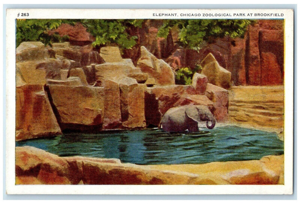 1920 Tembo Elephant Chicago Zoological Park Brookfield Illinois Antique Postcard