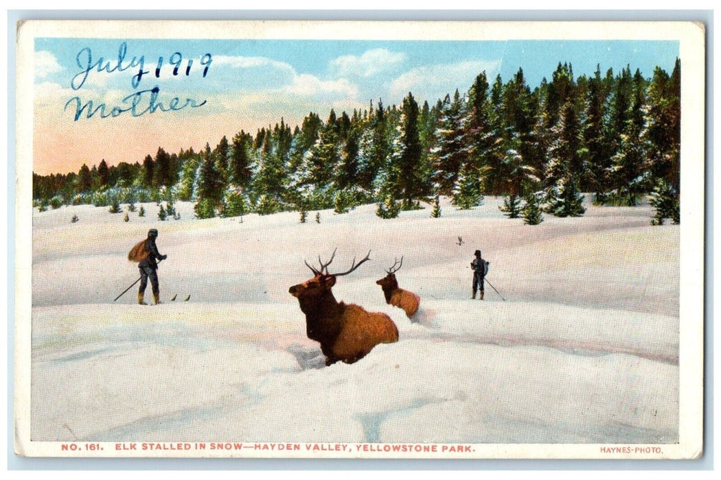 1919 Elk Stalled Snow Hayden Valley Yellowstone Park Chanute Kansas KS Postcard