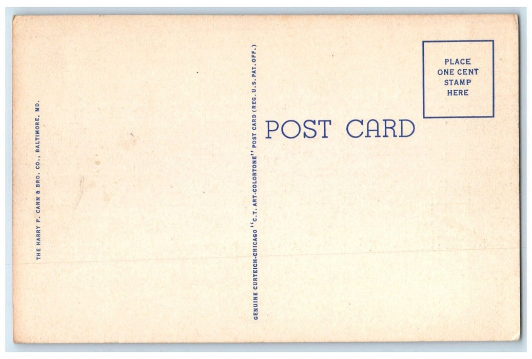 c1940 Maryland State Teachers College Street Road Salisbury Maryland MD Postcard