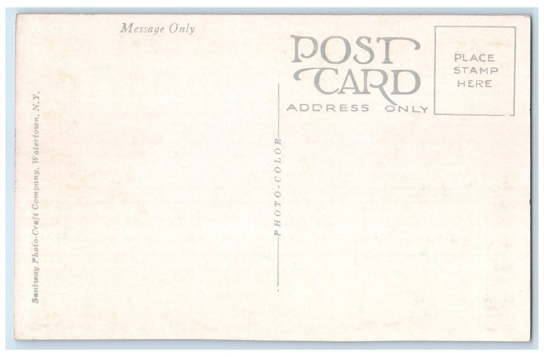 c1920 Tompkins Dormitory Elmira College Exterior Field Elmira New York Postcard