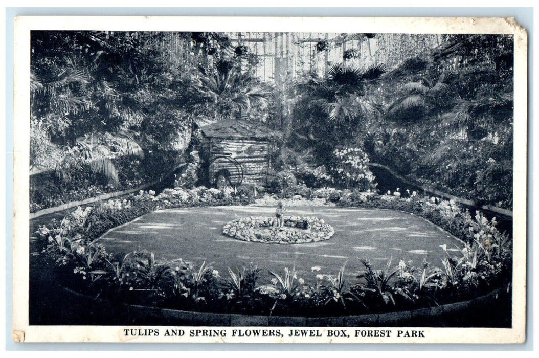 c1940 Tulips Springs Flowers Jewel Box Forest Park St Louis Missouri MO Postcard