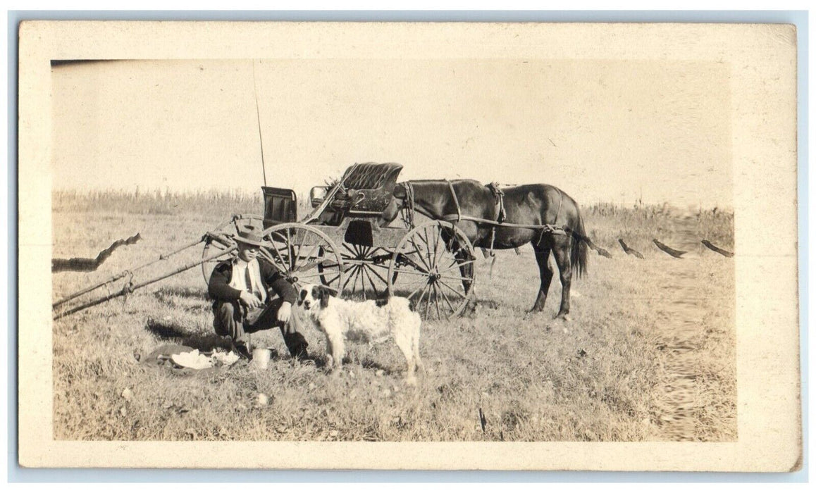 c1910's Spaniel Dog Picnic Horse Carriage Kansas KS RPPC Photo Antique Postcard