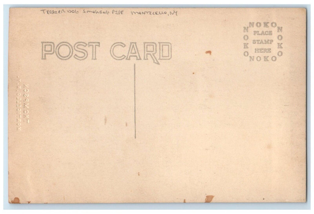 c1910's Terrier Dog Smoking Pipe Monticello New York NY RPPC Photo Postcard