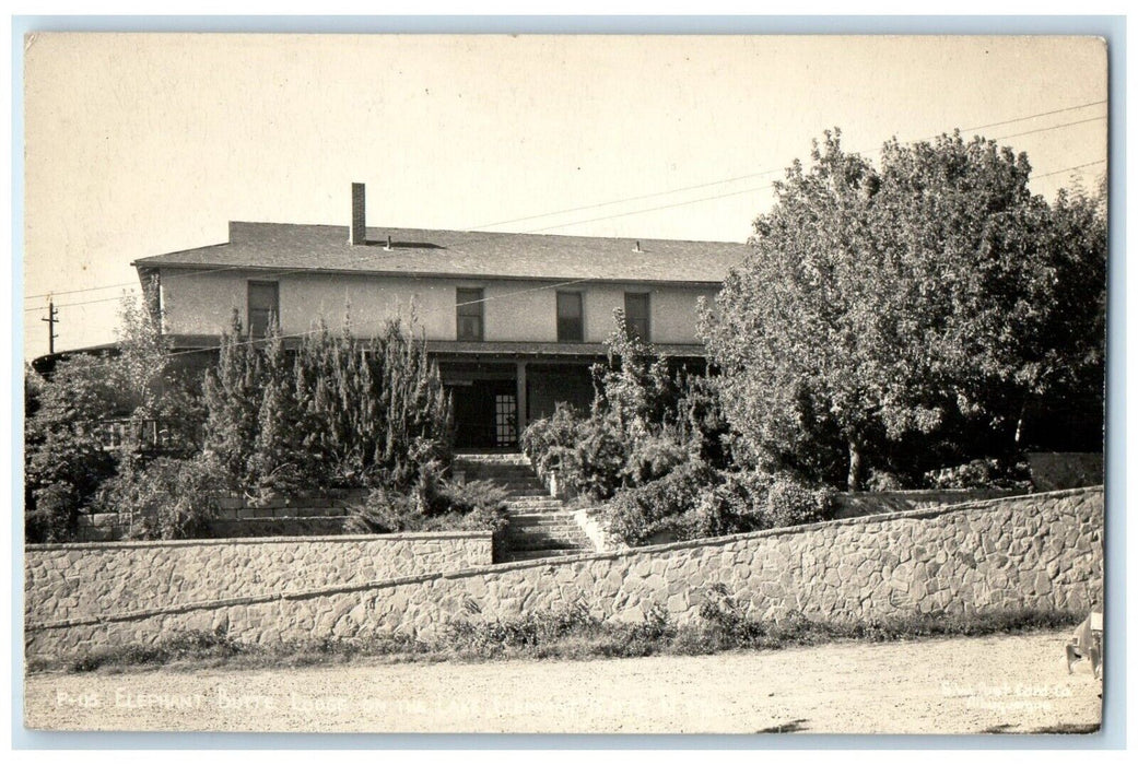 c1940's Elephant Butte Lodge Lake New Mexico NM RPPC Photo Vintage Postcard