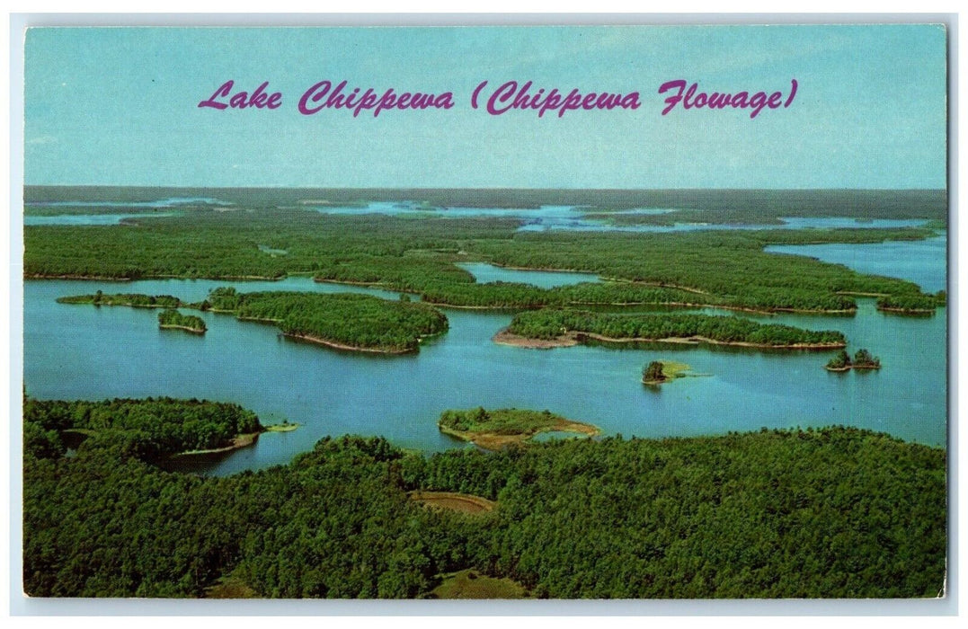 c1960 Lake Chippewa Flowage River Ponds Lakes Streams Winter Wisconsin Postcard