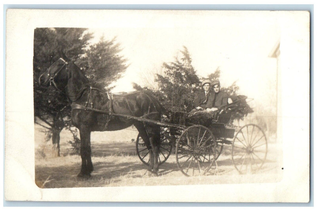 c1910's Man Riding Horse And Buggy Trees RPPC Photo Unposted Antique Postcard