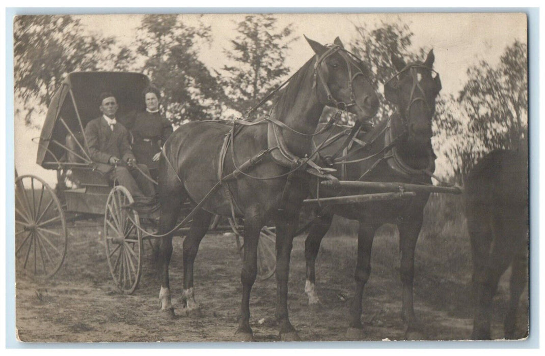 c1910's Couple Riding Horses And Buggy Scene Trees RPPC Photo Antique Postcard