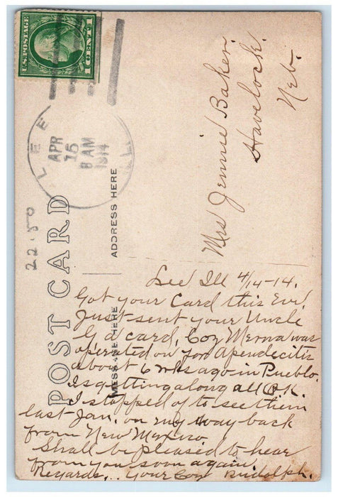 1914 Residence Street Houses Lee Illinois IL RPPC Photo Posted Antique Postcard