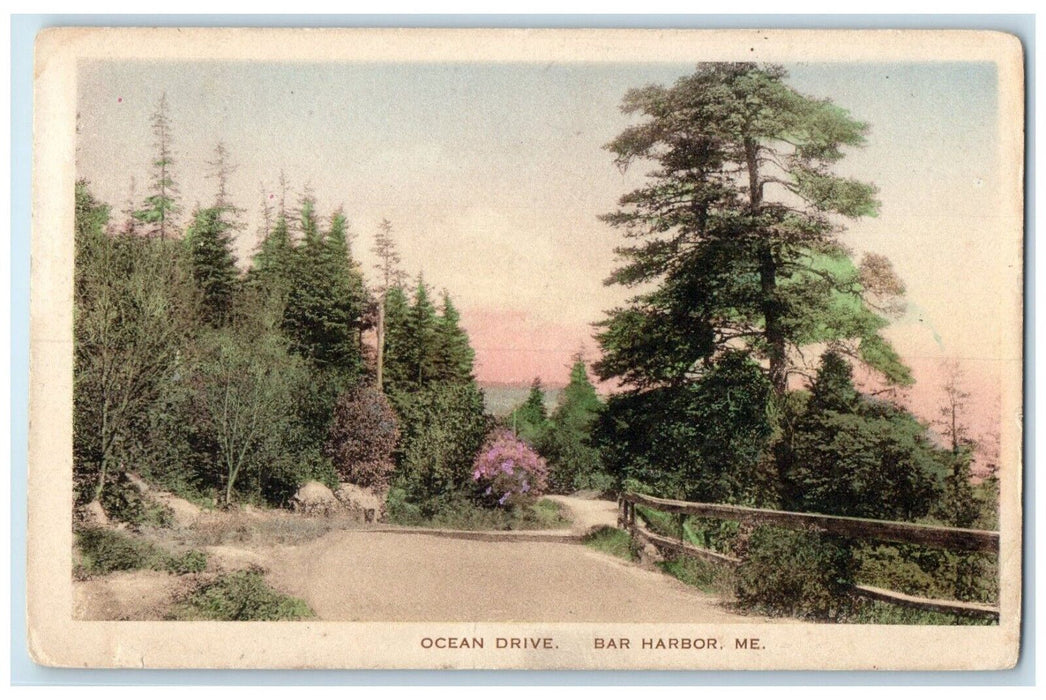 c1940 Scenic View Ocean Drive Road Trees Bar Harbor Maine Hand-Colored Postcard