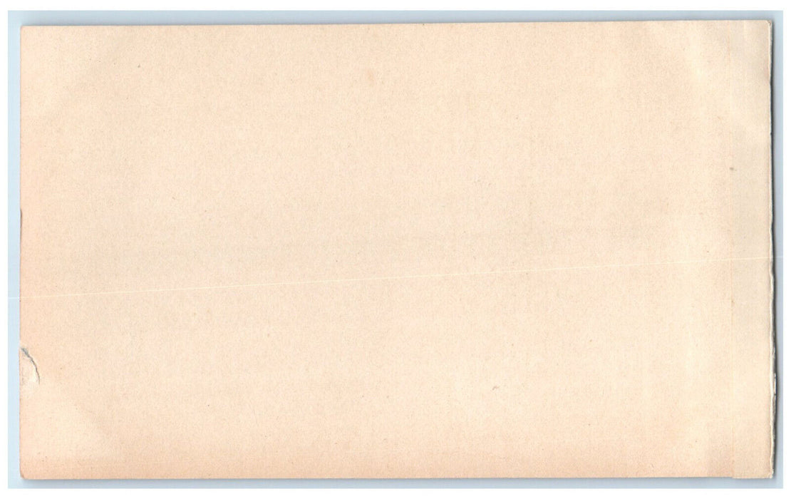 c1940's Interior Pamorama Animals Canada Dublin Ireland RPPC Photo Postcard