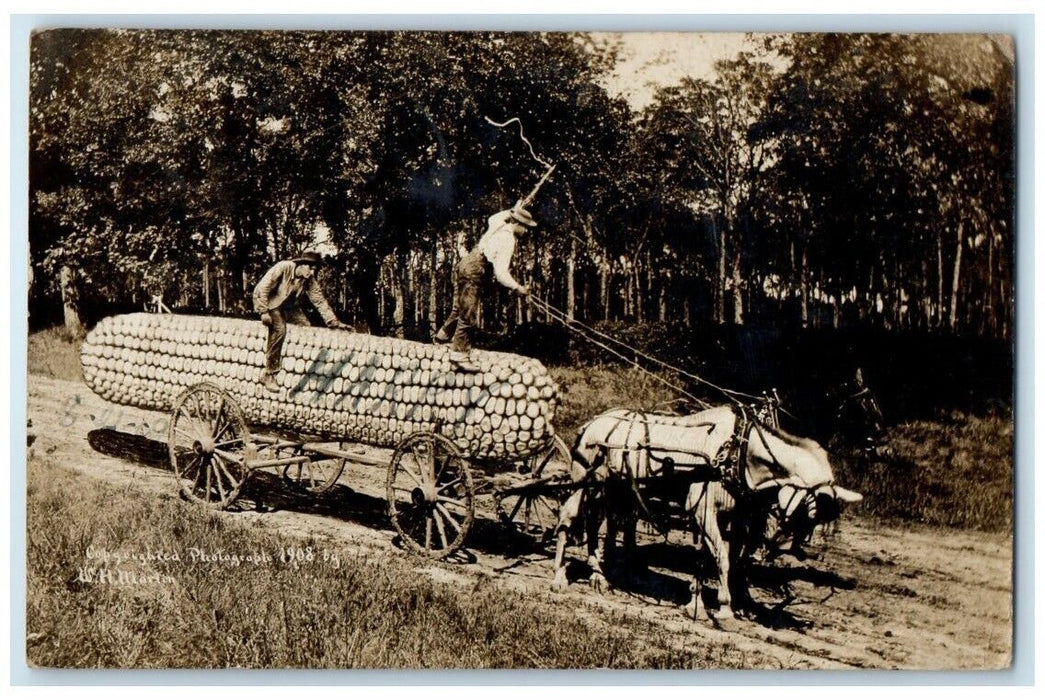 1909 Exaggerated Corn Horse Wagon W.H. Martin Chase KS RPPC Photo Postcard