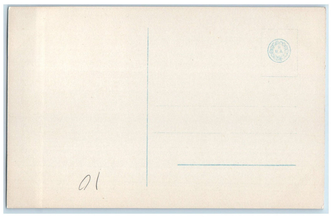 c1920's Kalvedalen Villa Quarter Bergen Norway Antique RPPC Photo Postcard