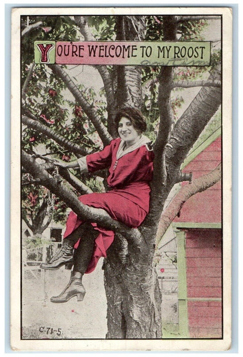 c1910's Woman On Top Of Tree You're Welcome To My Roost Norcatur KS Postcard