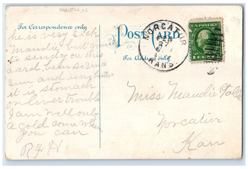 c1910's Woman On Top Of Tree You're Welcome To My Roost Norcatur KS Postcard