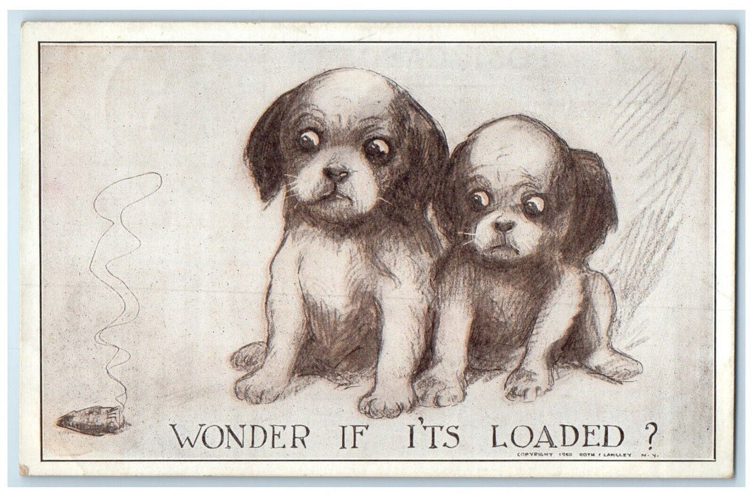 1910 Puppies Dog Wonder If Its Loaded Kirwin Kansas KS Animals Antique Postcard