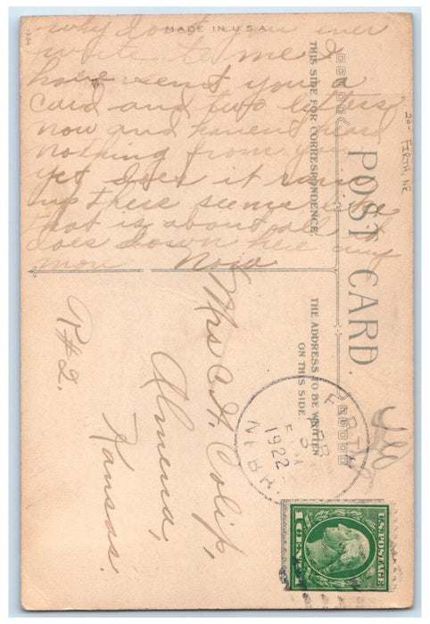 1922 Easter Wishes Springtime Flowers Firth Nebraska NE Posted Vintage Postcard