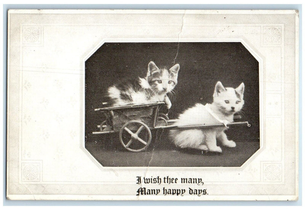c1910's Cat Kitten Wagon I Wish Thee Many Happy Days Bridgeport NE Postcard
