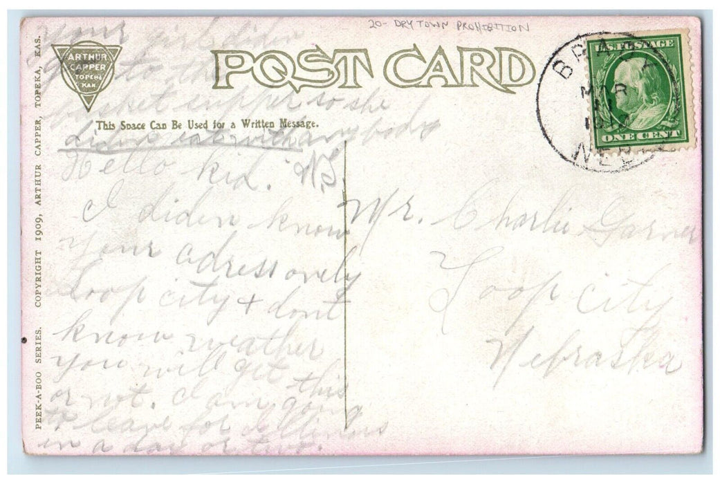 1912 Dry Town Prohibition Brady Nebraska NE Posted Antique Postcard