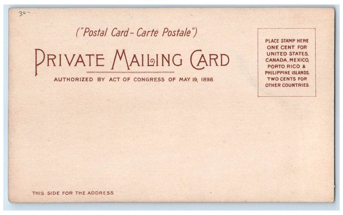 c1905 Red Star Line New York Antwerp SS Vaderland SS Zeeland Antique Postcard