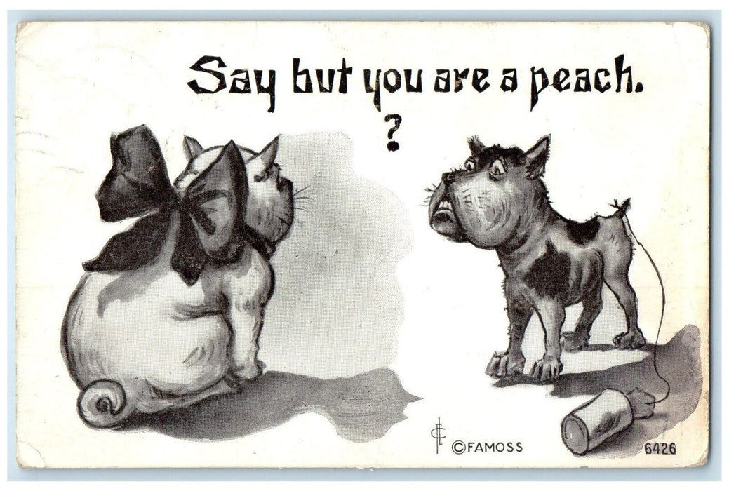 c1910's Cat And Dog Say But You Are A Peach Brady Island NE Famoss Postcard