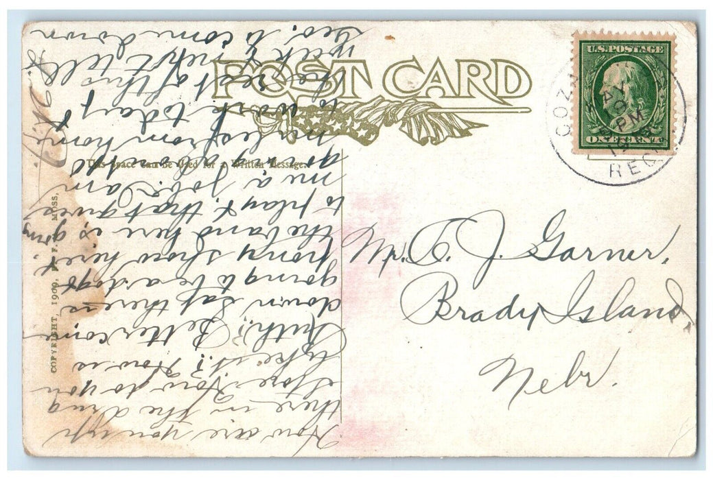 c1910's Cat And Dog Say But You Are A Peach Brady Island NE Famoss Postcard