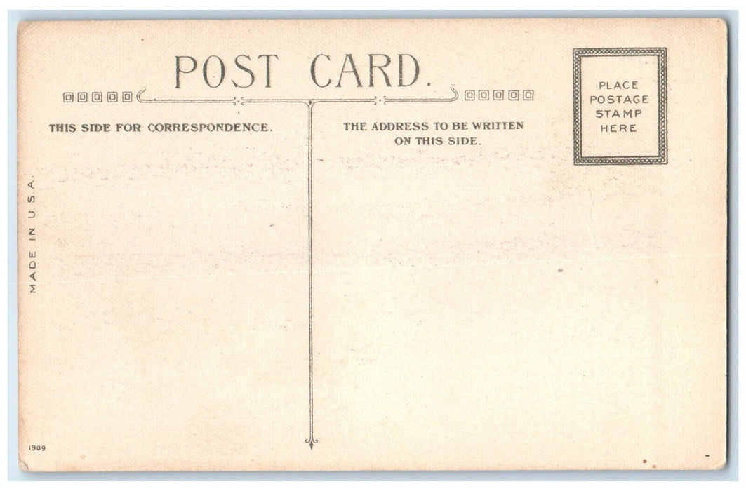 c1910's Easter Gladness Three Fat Chicks Egg Flowers Unposted Antique Postcard
