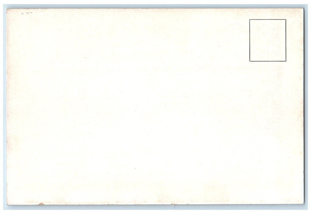 New York Metropolitan Museum Art Woodcut Illustration By Vivaldus Postcard