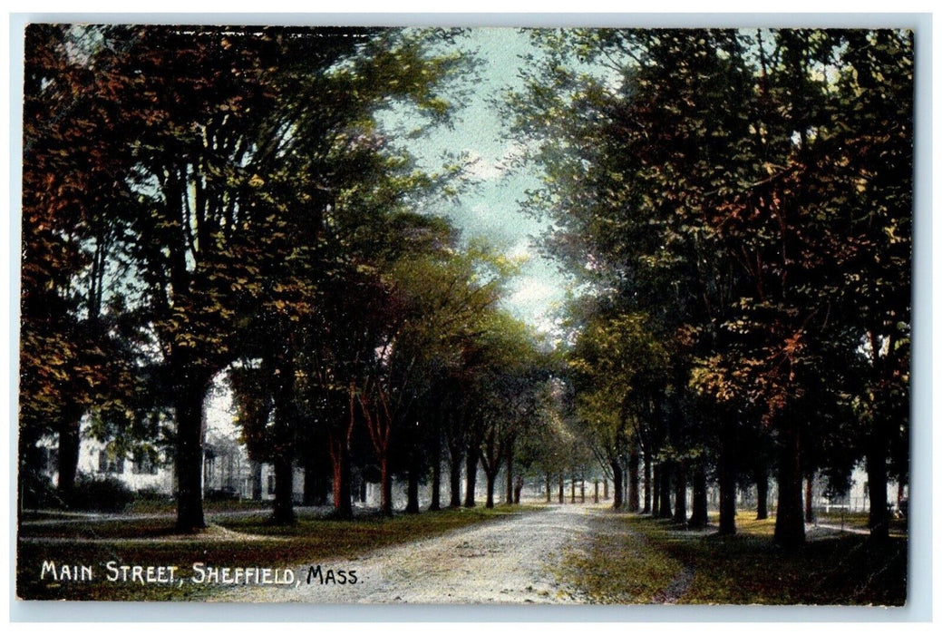 c1910's Main Street Sheffield Massachusetts MA, Dirt Road Tree Lined Postcard