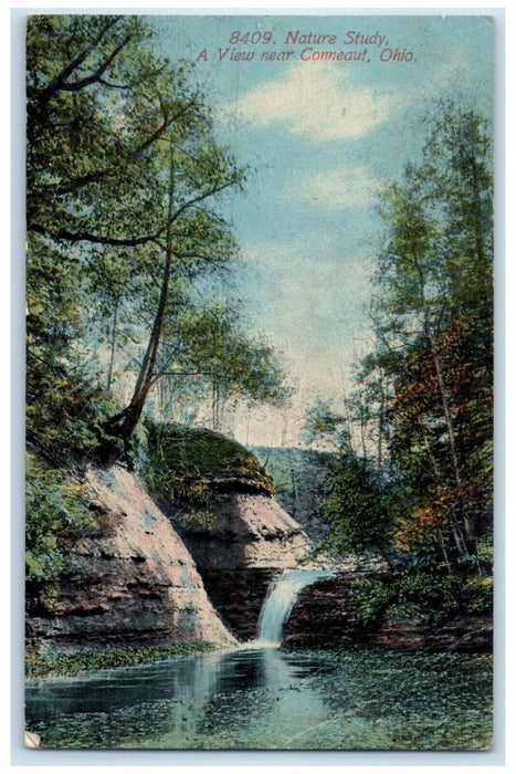 1912 Nature Study View Waterfalls River Trees Forest Conneaut Ohio OH Postcard