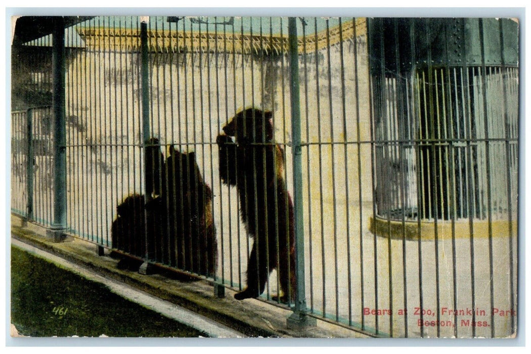 c1910 Bears Zoo Franklin Park Animals Boston Massachusetts MA Unposted Postcard