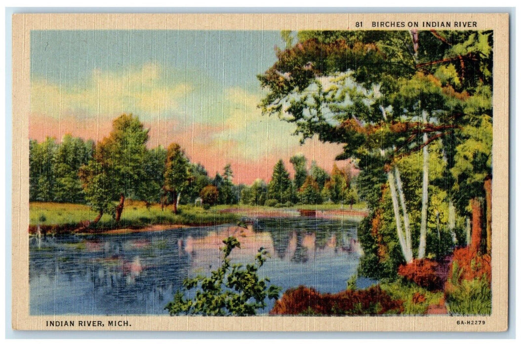 c1940 Birches Indian River Lake Trees Indian River Michigan MI Unposted Postcard