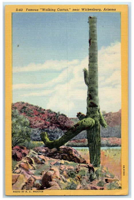 c1940 Famous Walking Cactus Desert Sands Wickenburg Arizona AZ Unposted Postcard