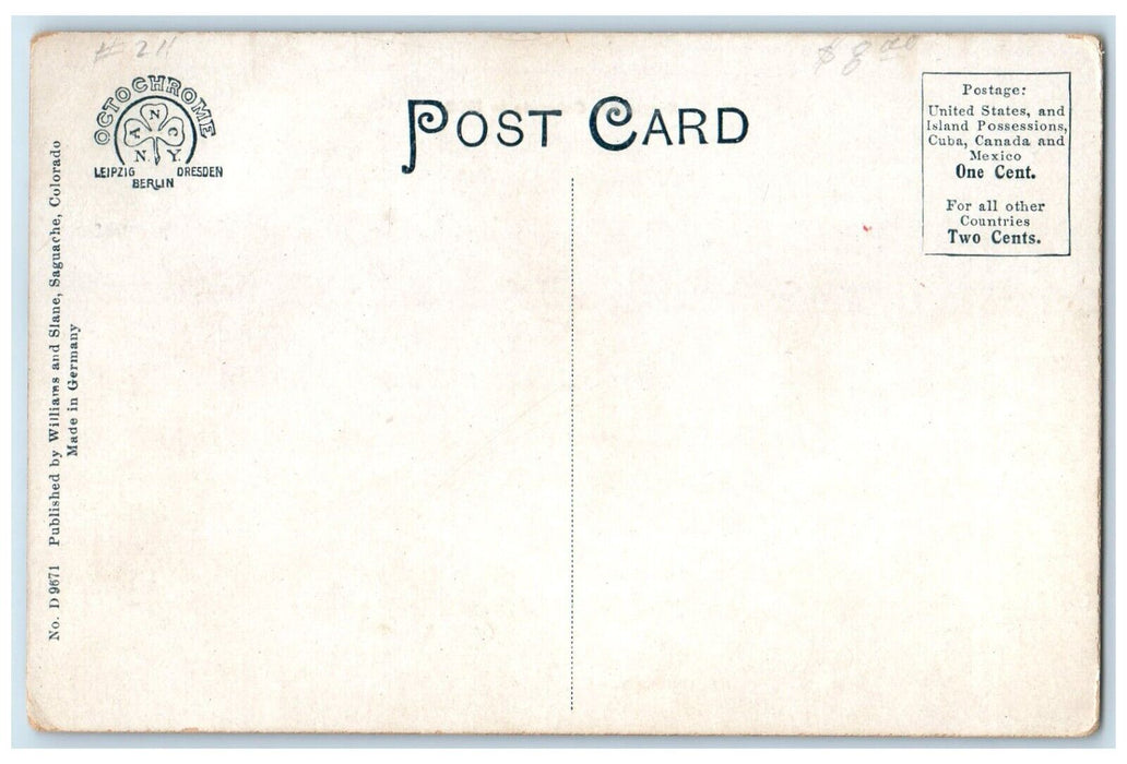 c1910's Bird's Eye View Of Saguache Colorado CO Unposted Antique Postcard