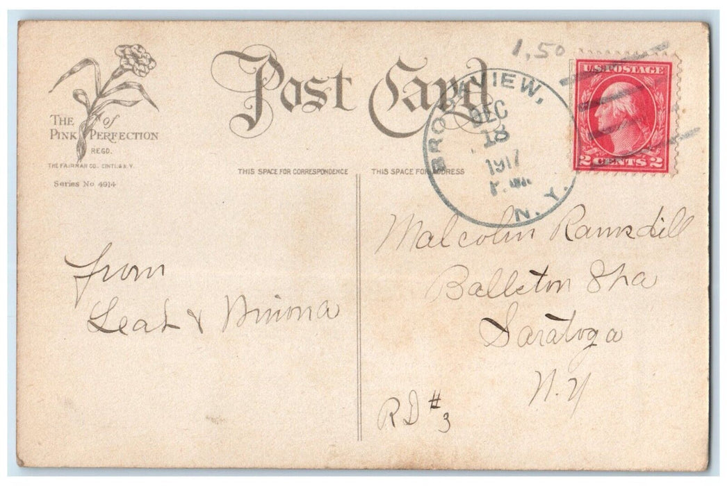 1917 Christmas Boy Carrying Poinsettia Flowers Brookview New York NY Postcard