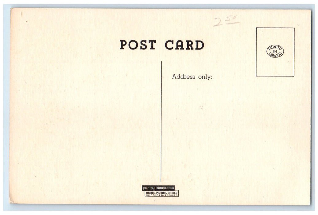 c1940's Bear Cubs in the Assiniboine Park Zoo Winnipeg Manitoba Canada Postcard