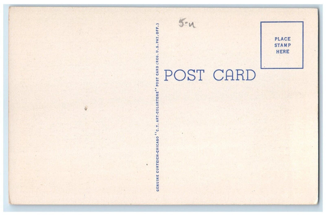 c1940 Night Blooming Cereus Hedge Honolulu Territory Hawaii TH Unposted Postcard