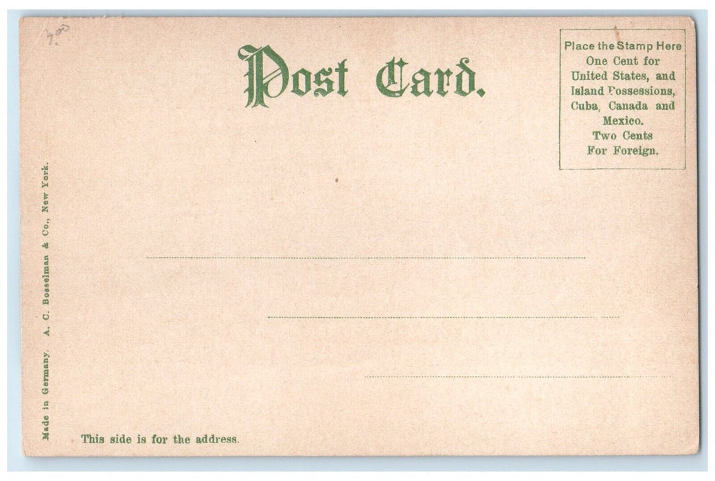 c1905 Mac Duffie School Girls Springfield Massachusetts Vintage Antique Postcard