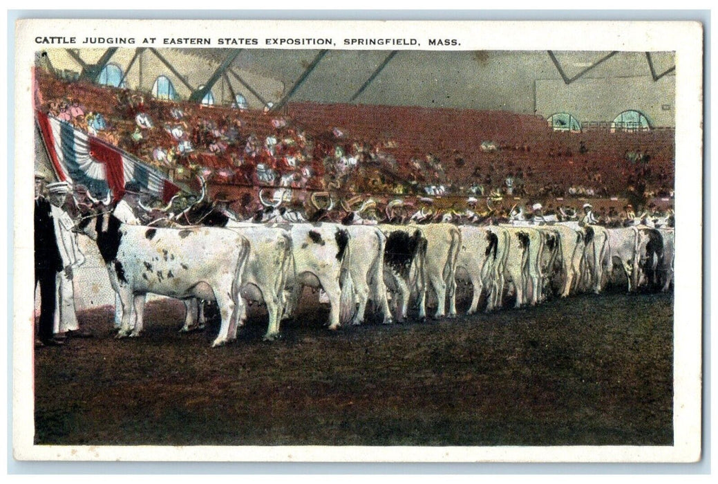 1910 Cattle Judging Eastern States Exposition Springfield Massachusetts Postcard