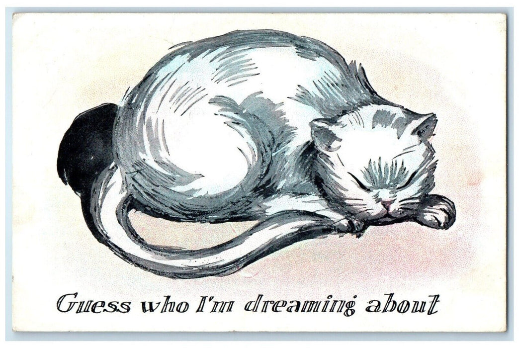 1924 Sleeping Cat Guess Who I'm Dreaming About Keeseville New York NY Postcard