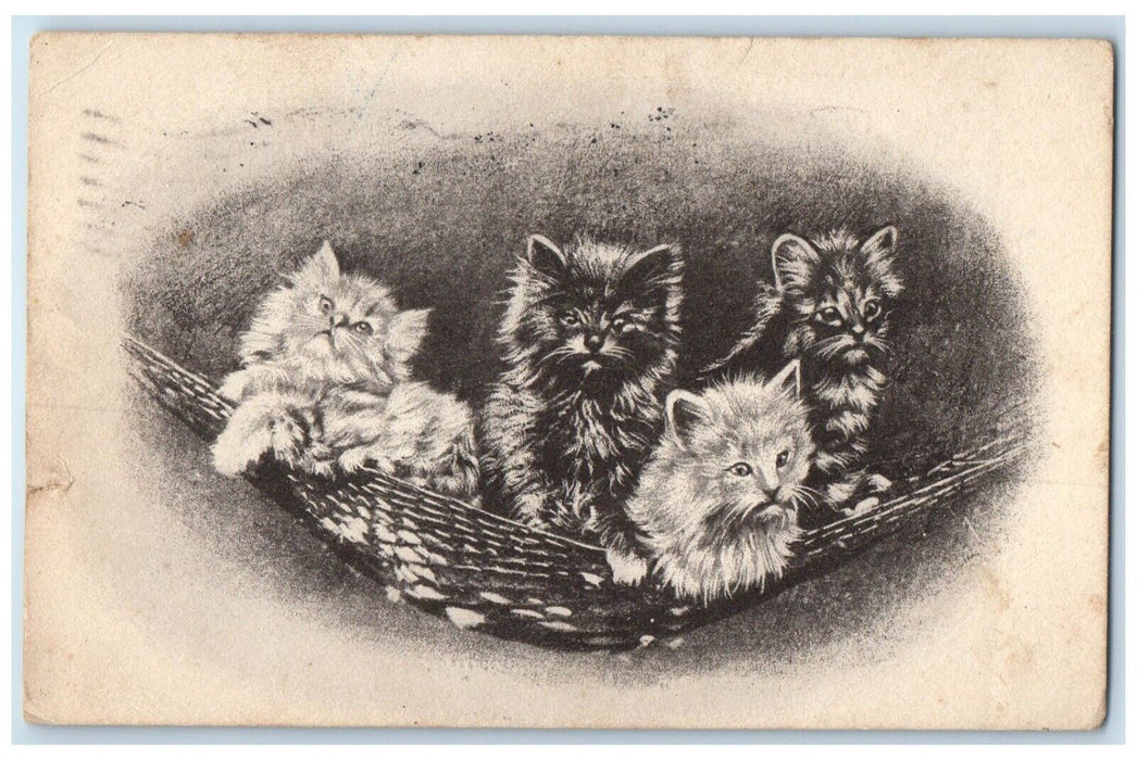 1912 Cats Kitten Hammock Boston MA Dorchester Center Station Antique Postcard