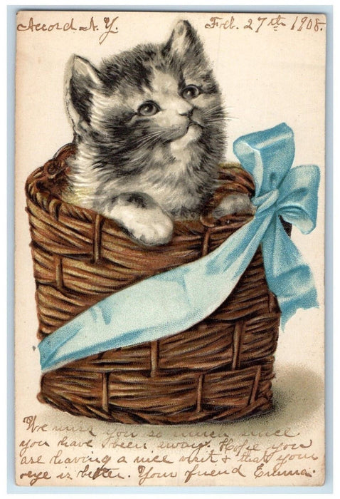 1908 Cute Cat Kitten In The Basket Bow Ribbon Embossed Kingston NY Postcard